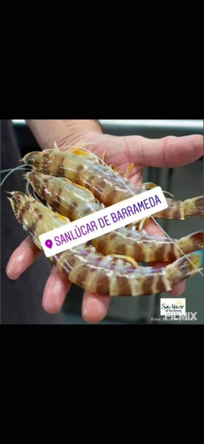 Piso De Dos Dormitorios En El Centro De Sanlúcar de Barrameda المظهر الخارجي الصورة
